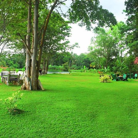 Canal Side Safari Resort 达瓦拉维 外观 照片