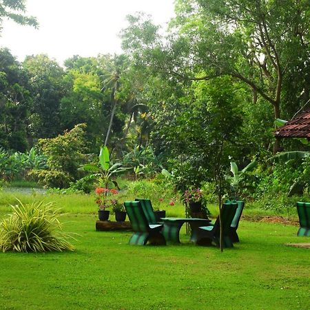 Canal Side Safari Resort 达瓦拉维 外观 照片