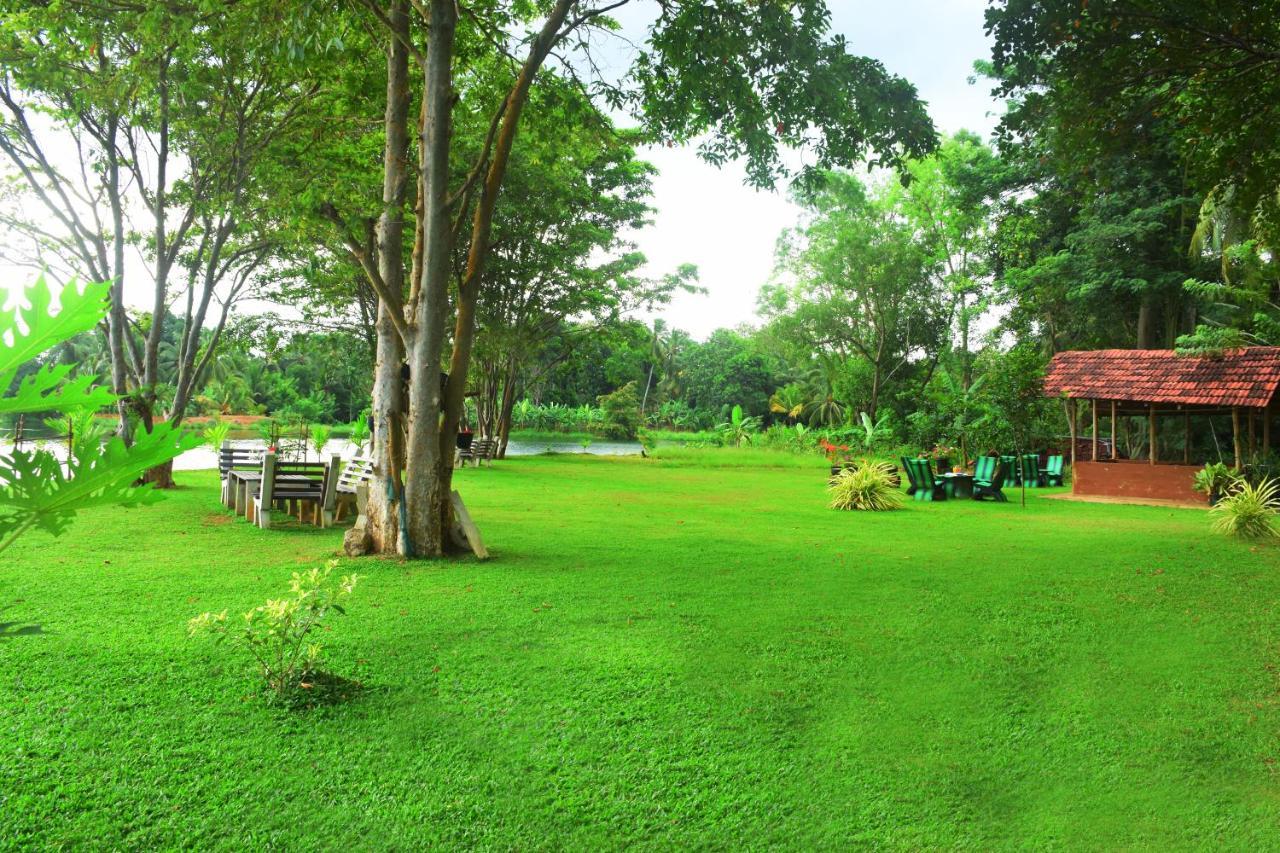Canal Side Safari Resort 达瓦拉维 外观 照片