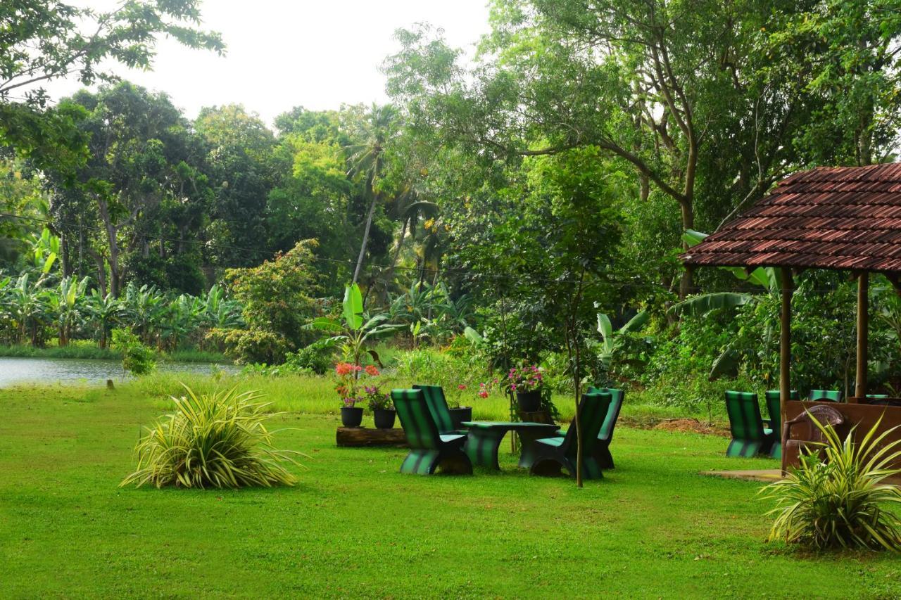 Canal Side Safari Resort 达瓦拉维 外观 照片