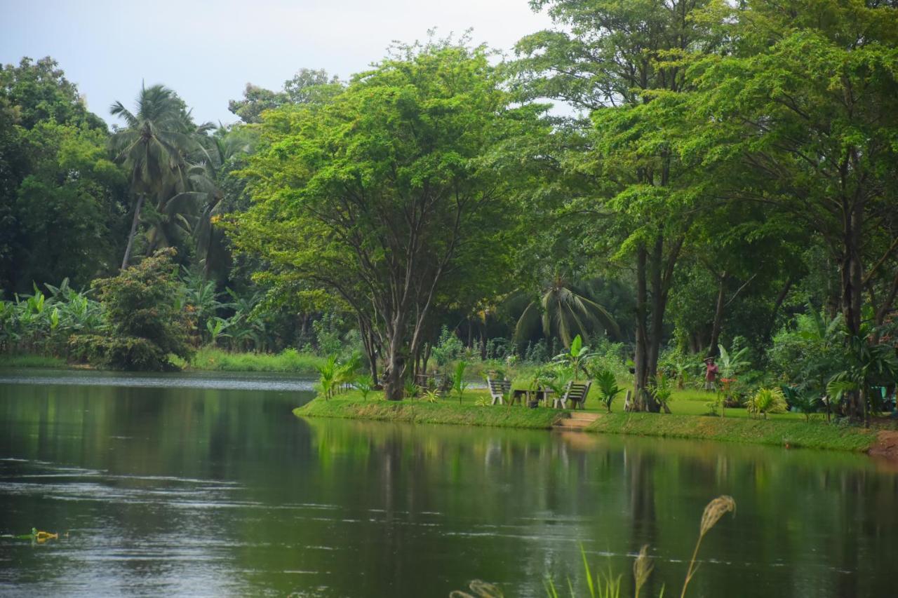 Canal Side Safari Resort 达瓦拉维 外观 照片