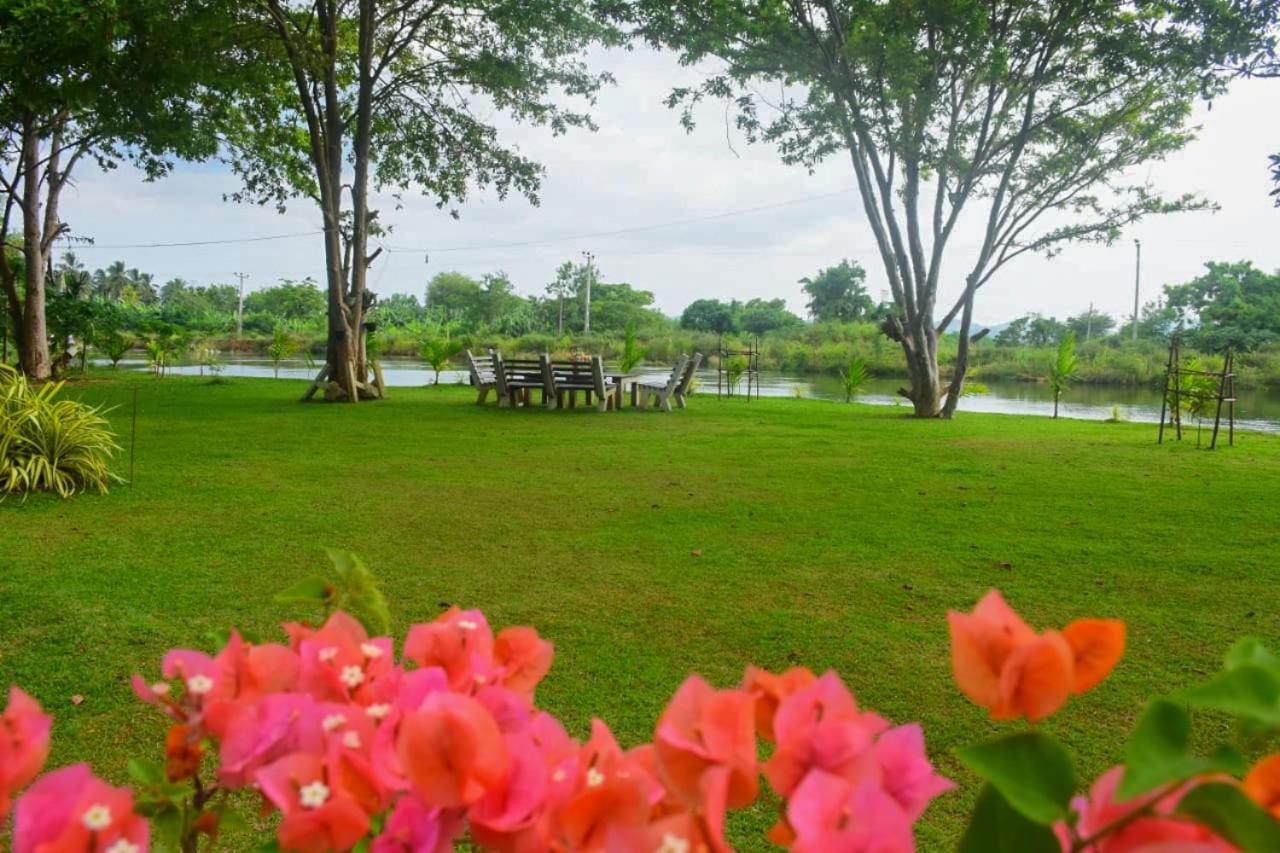 Canal Side Safari Resort 达瓦拉维 外观 照片