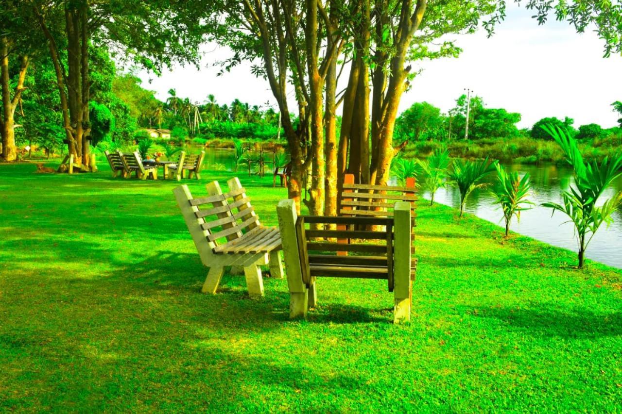 Canal Side Safari Resort 达瓦拉维 外观 照片