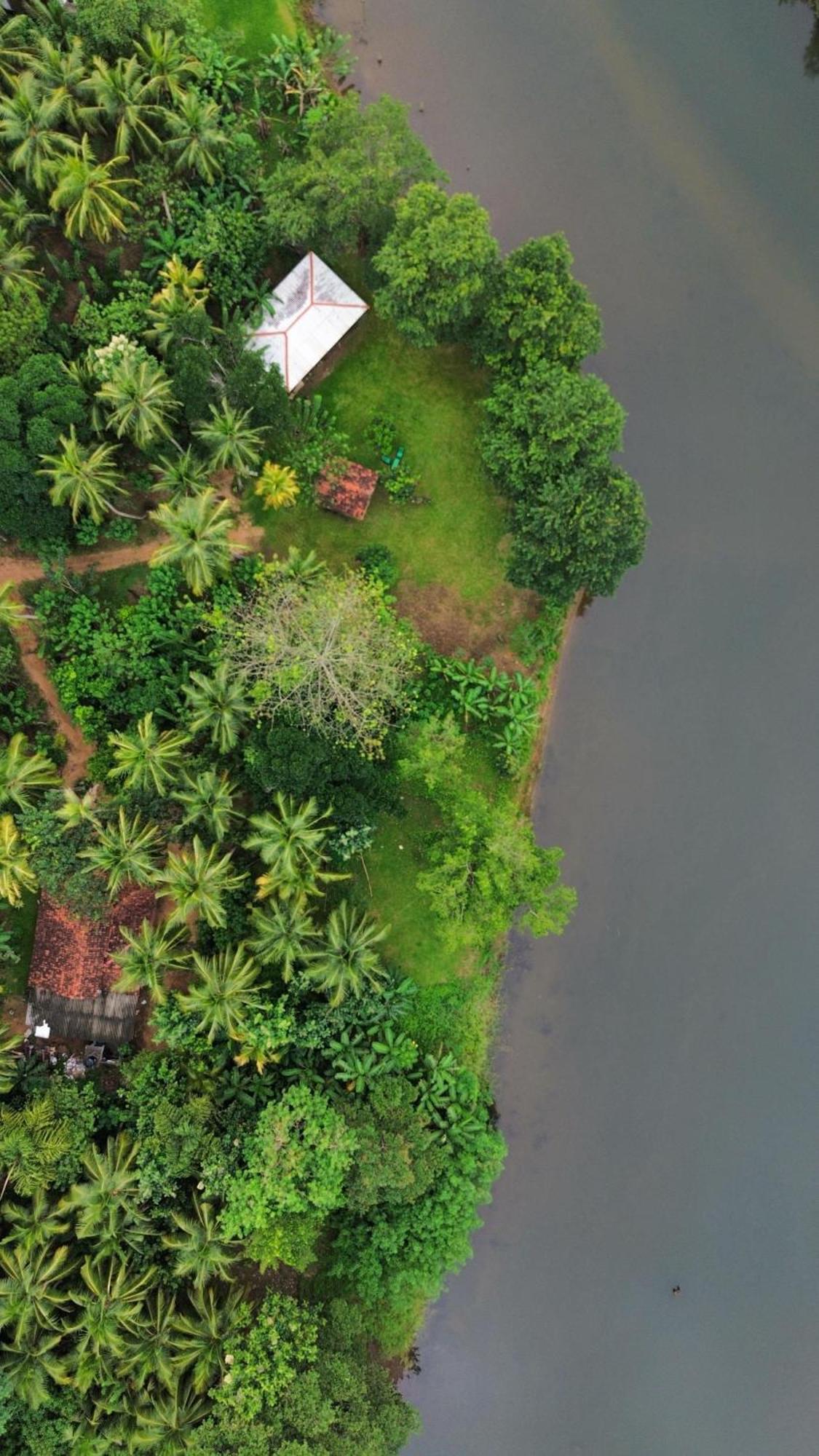 Canal Side Safari Resort 达瓦拉维 外观 照片