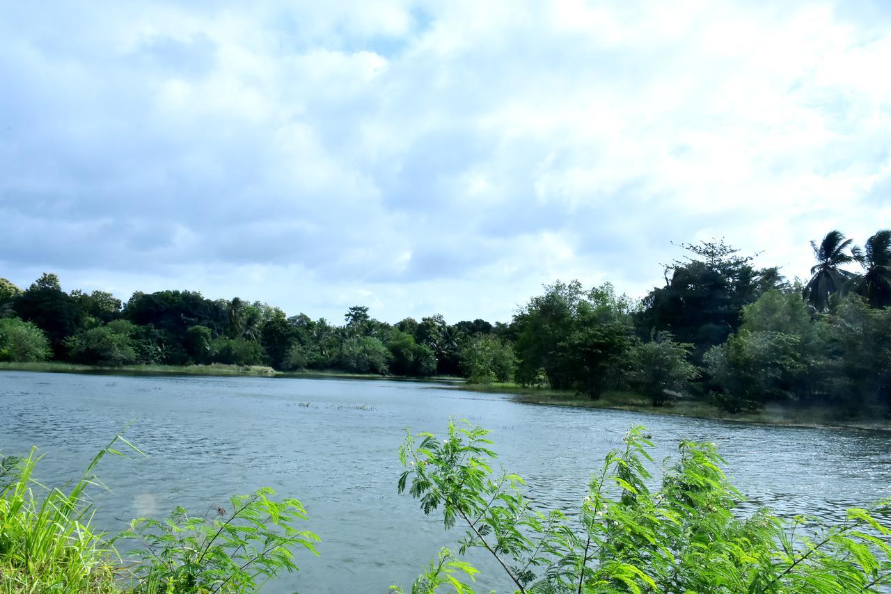 Canal Side Safari Resort 达瓦拉维 外观 照片